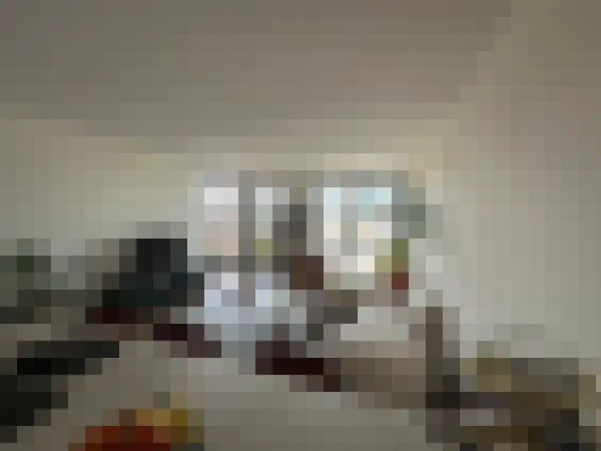 Laan op Zuid 1249 Rotterdam thumbnail 6