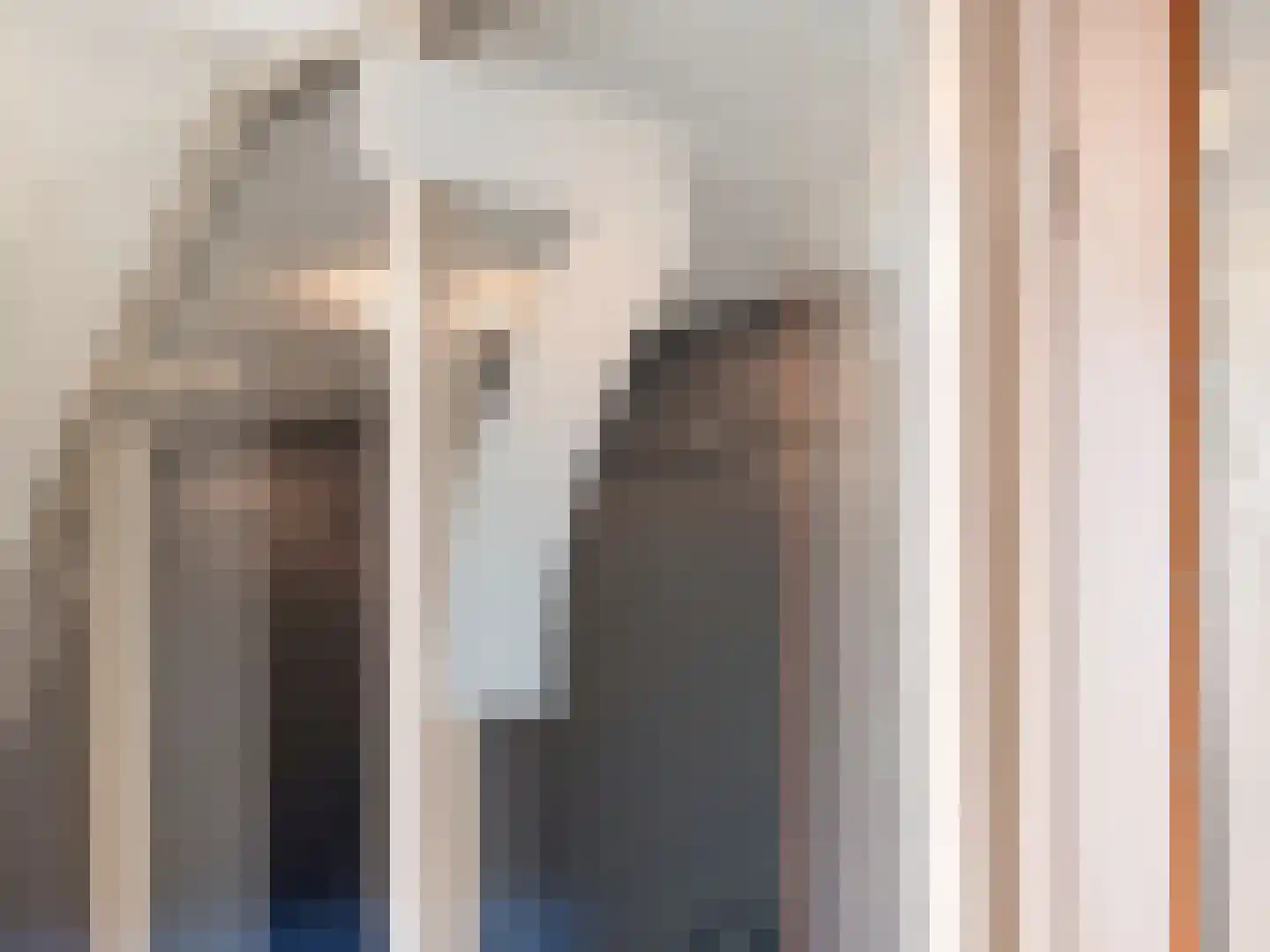 Laan op Zuid 1251 Rotterdam thumbnail 13