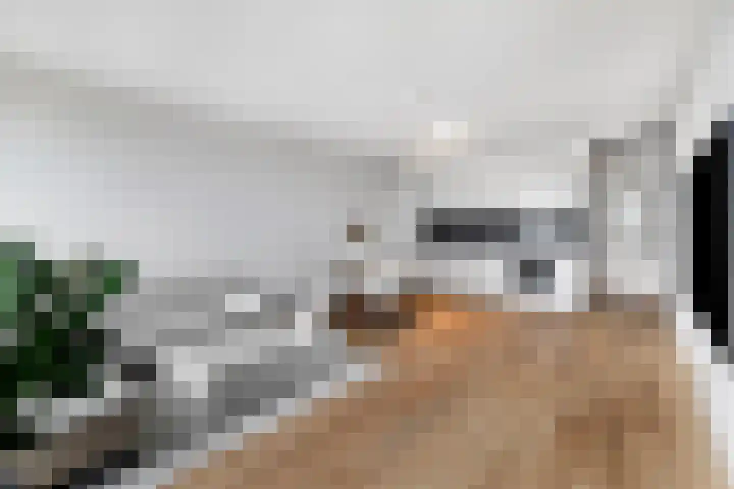 Laan op Zuid 1251 Rotterdam thumbnail 19