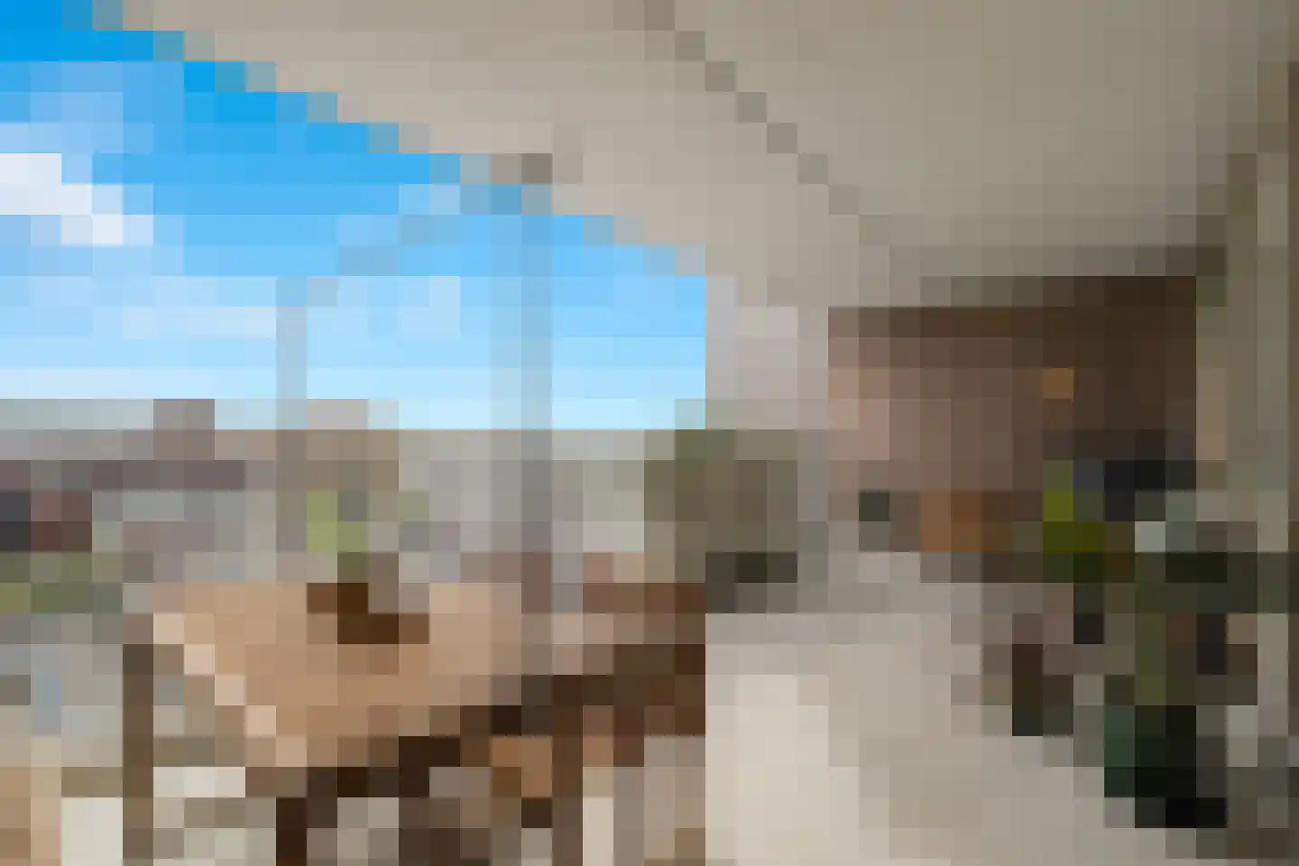 Laan op Zuid 1251 Rotterdam thumbnail 4