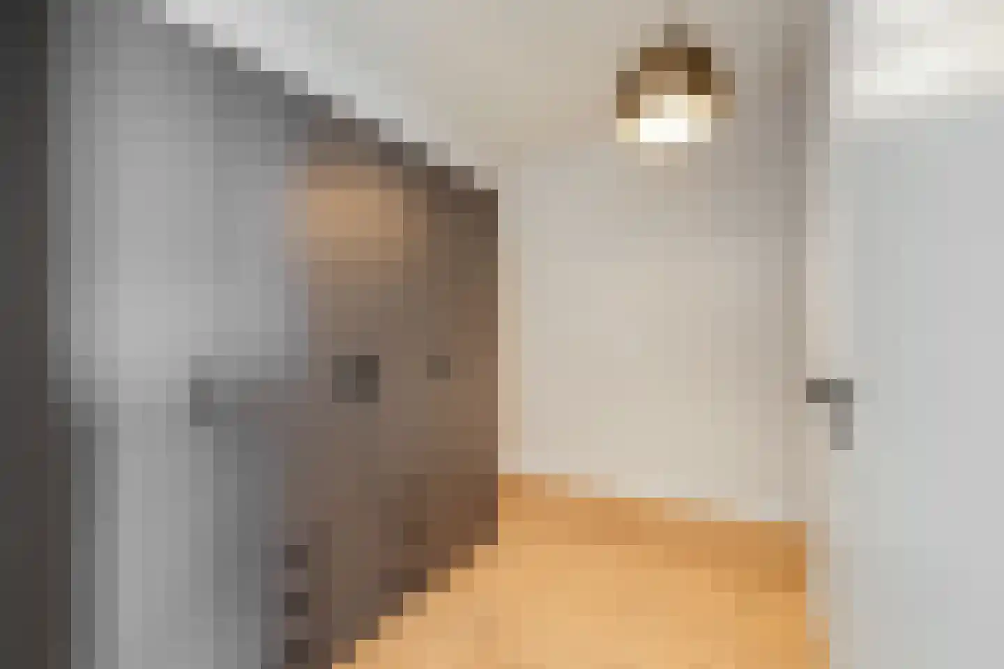 Laan op Zuid 1251 Rotterdam thumbnail 42