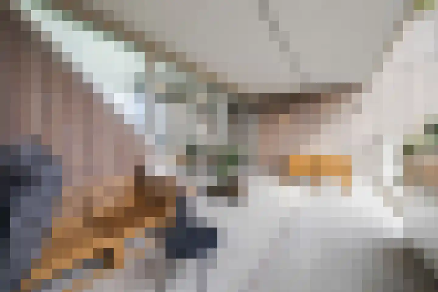 Laan op Zuid 1251 Rotterdam thumbnail 46