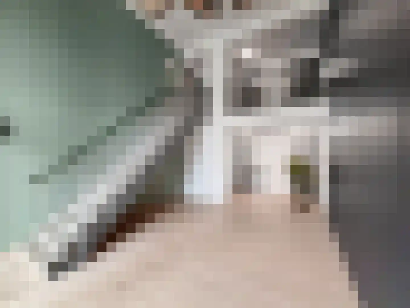 Laan op Zuid 1251 Rotterdam thumbnail 9