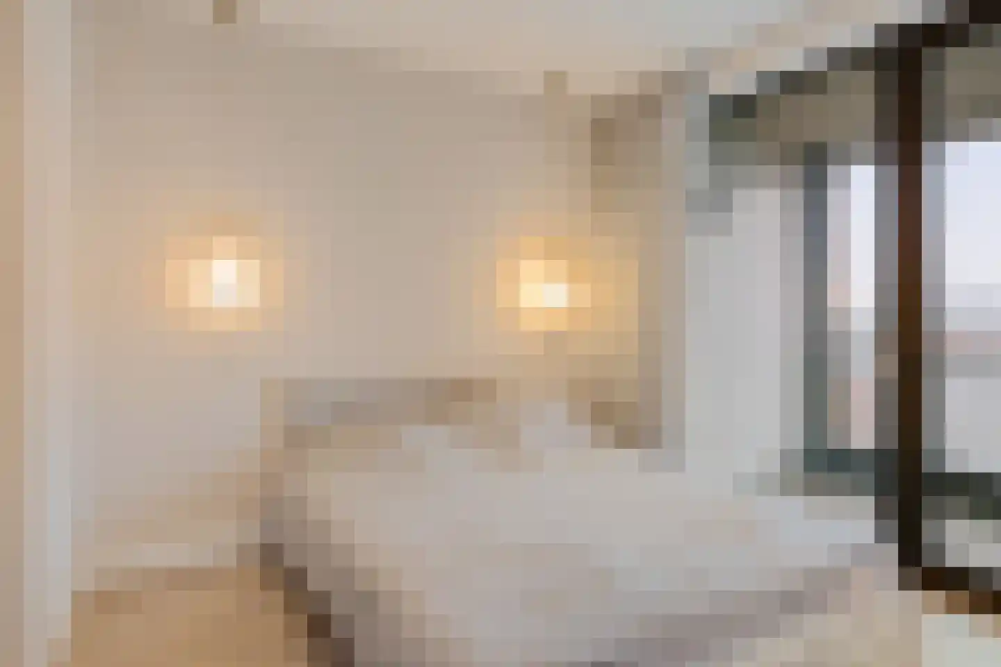 Laan op Zuid 1253 Rotterdam thumbnail 22