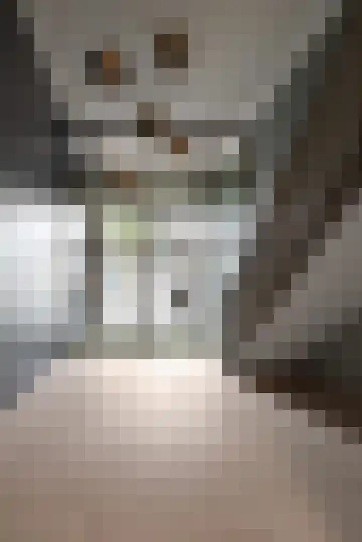 Laan op Zuid 1259 Rotterdam thumbnail 32