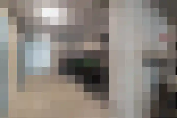 Laan op Zuid 1259 Rotterdam thumbnail 33