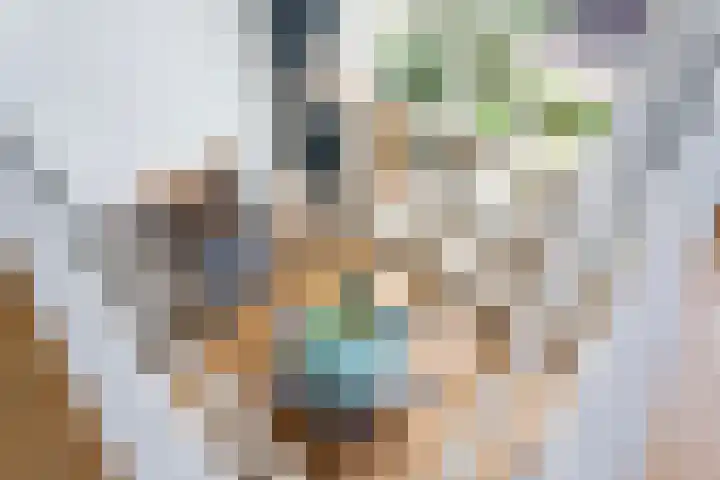 Laan op Zuid 1333 Rotterdam thumbnail 14