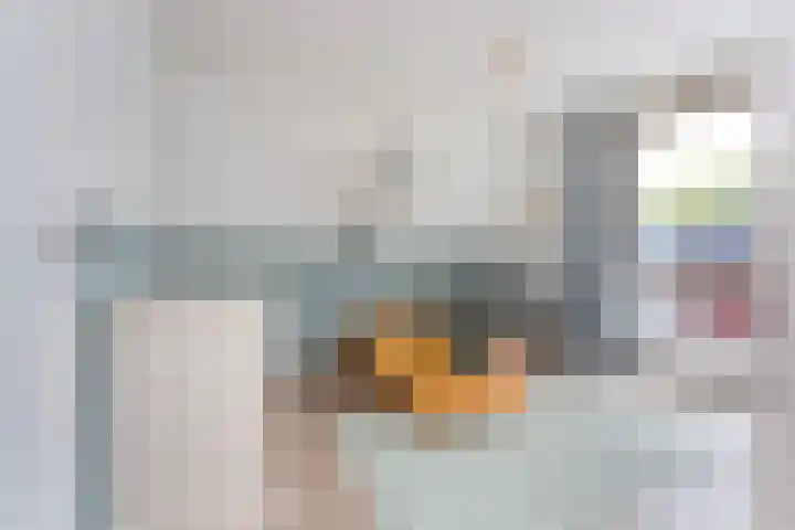 Laan op Zuid 1333 Rotterdam thumbnail 17