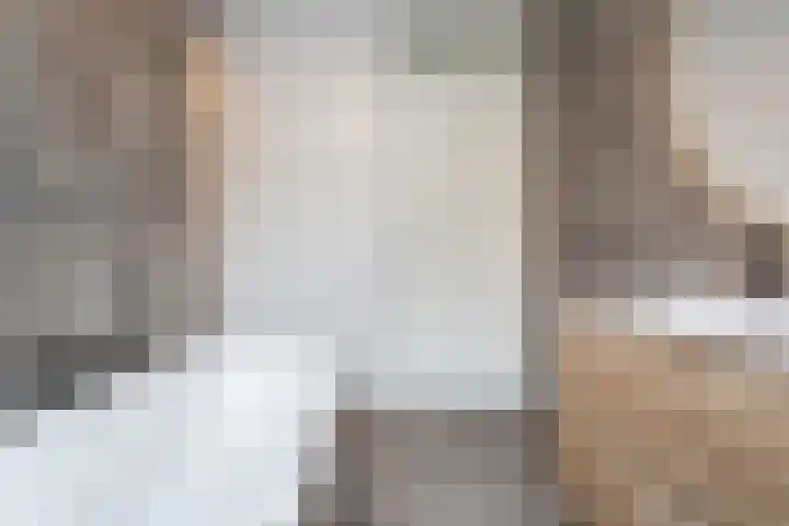 Laan op Zuid 1333 Rotterdam thumbnail 21