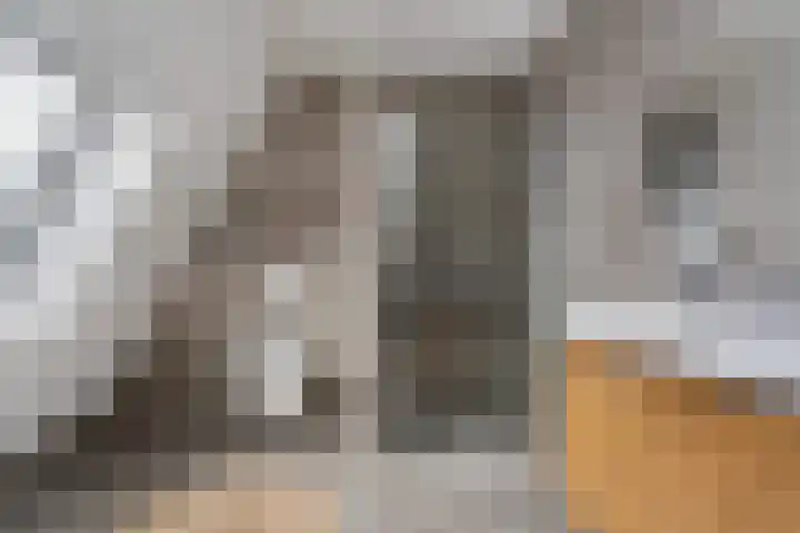 Laan op Zuid 1333 Rotterdam thumbnail 25