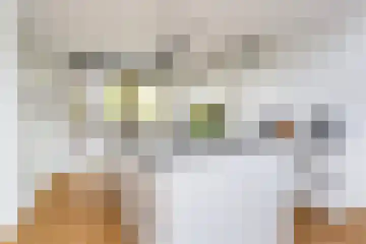 Laan op Zuid 1333 Rotterdam thumbnail 6