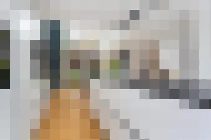 Laan op Zuid 1333 Rotterdam thumbnail 7