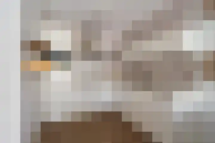Laan op Zuid 1381 Rotterdam thumbnail 12