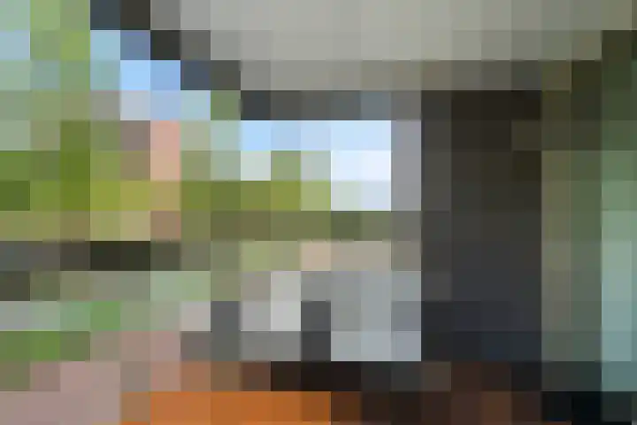 Laan op Zuid 1381 Rotterdam thumbnail 14