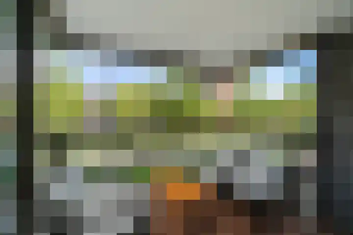 Laan op Zuid 1381 Rotterdam thumbnail 15