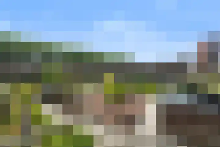Laan op Zuid 1381 Rotterdam thumbnail 17