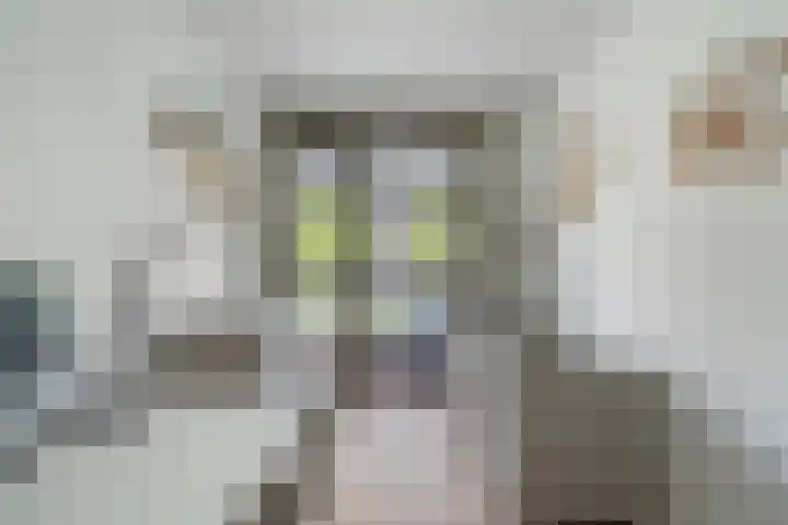 Laan op Zuid 1381 Rotterdam thumbnail 25