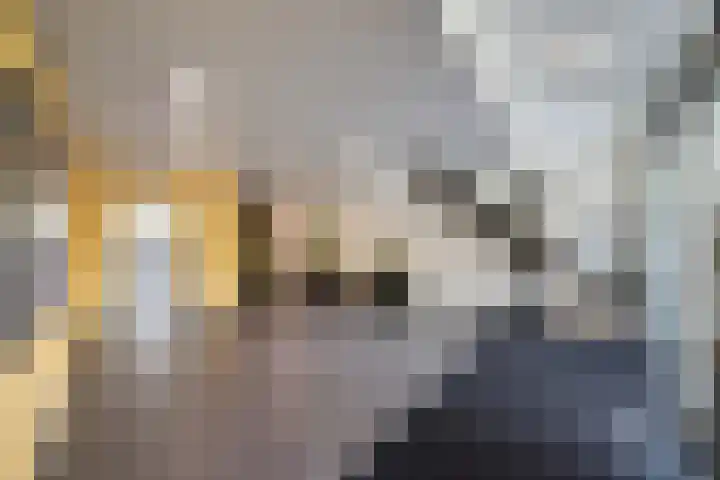 Laan op Zuid 1381 Rotterdam thumbnail 34