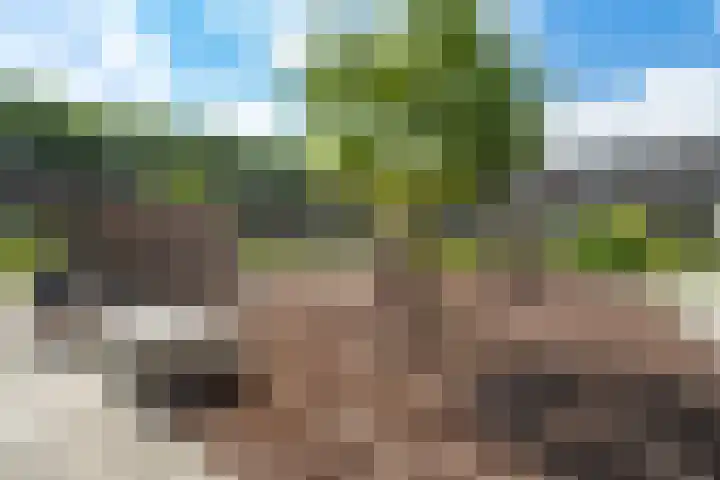 Laan op Zuid 1381 Rotterdam thumbnail 35