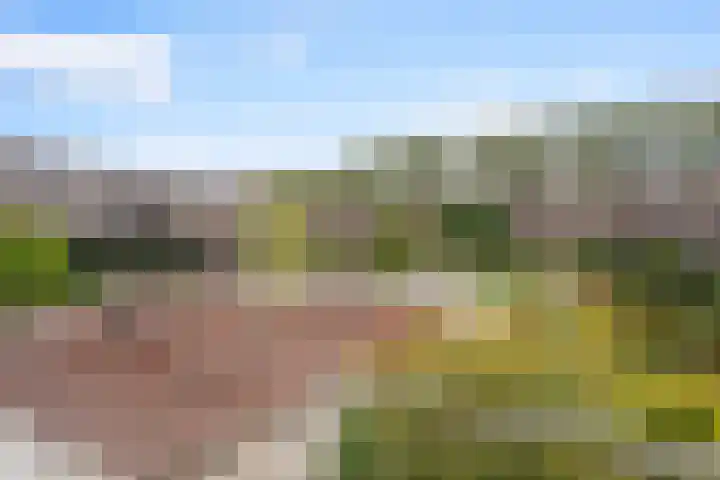 Laan op Zuid 1419 Rotterdam thumbnail 37