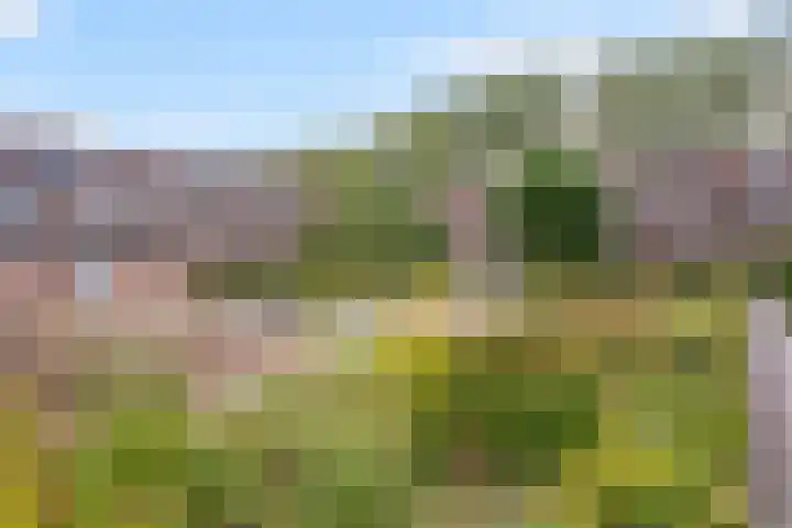 Laan op Zuid 1419 Rotterdam thumbnail 38