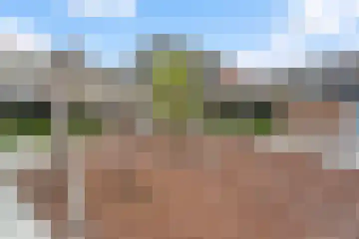Laan op Zuid 1419 Rotterdam thumbnail 39