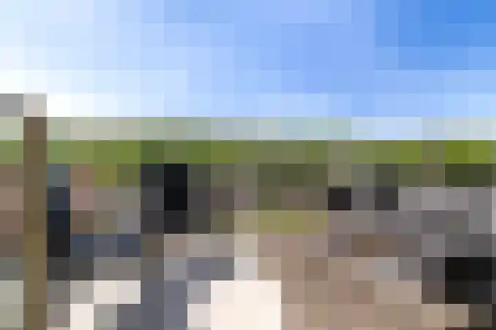 Laan op Zuid 1445 Rotterdam thumbnail 14