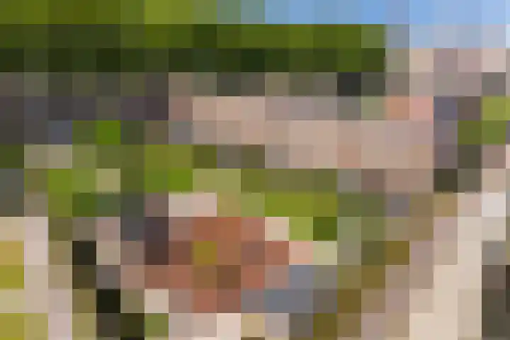 Laan op Zuid 1445 Rotterdam thumbnail 16