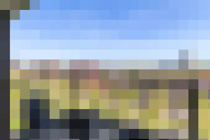 Laan op Zuid 1445 Rotterdam thumbnail 24