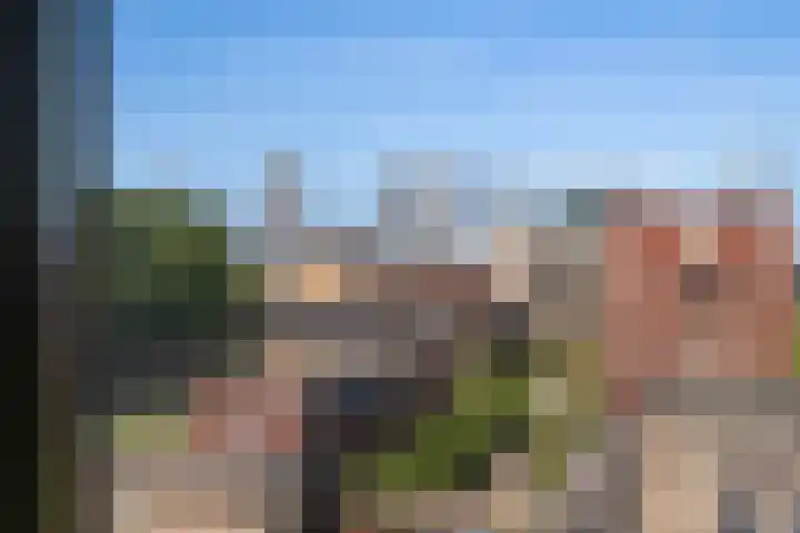 Laan op Zuid 1445 Rotterdam thumbnail 29