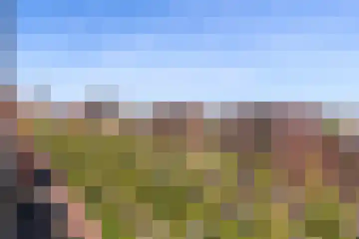 Laan op Zuid 1445 Rotterdam thumbnail 30