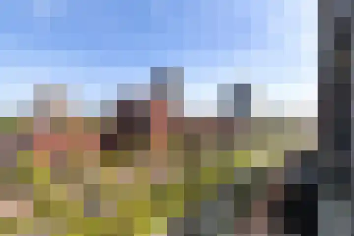 Laan op Zuid 1445 Rotterdam thumbnail 31