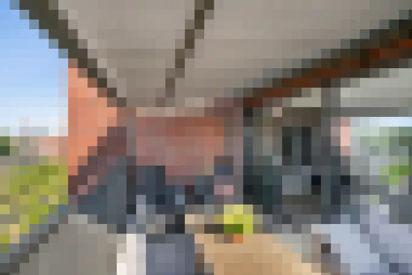 Laan op Zuid 1618 Rotterdam thumbnail 15