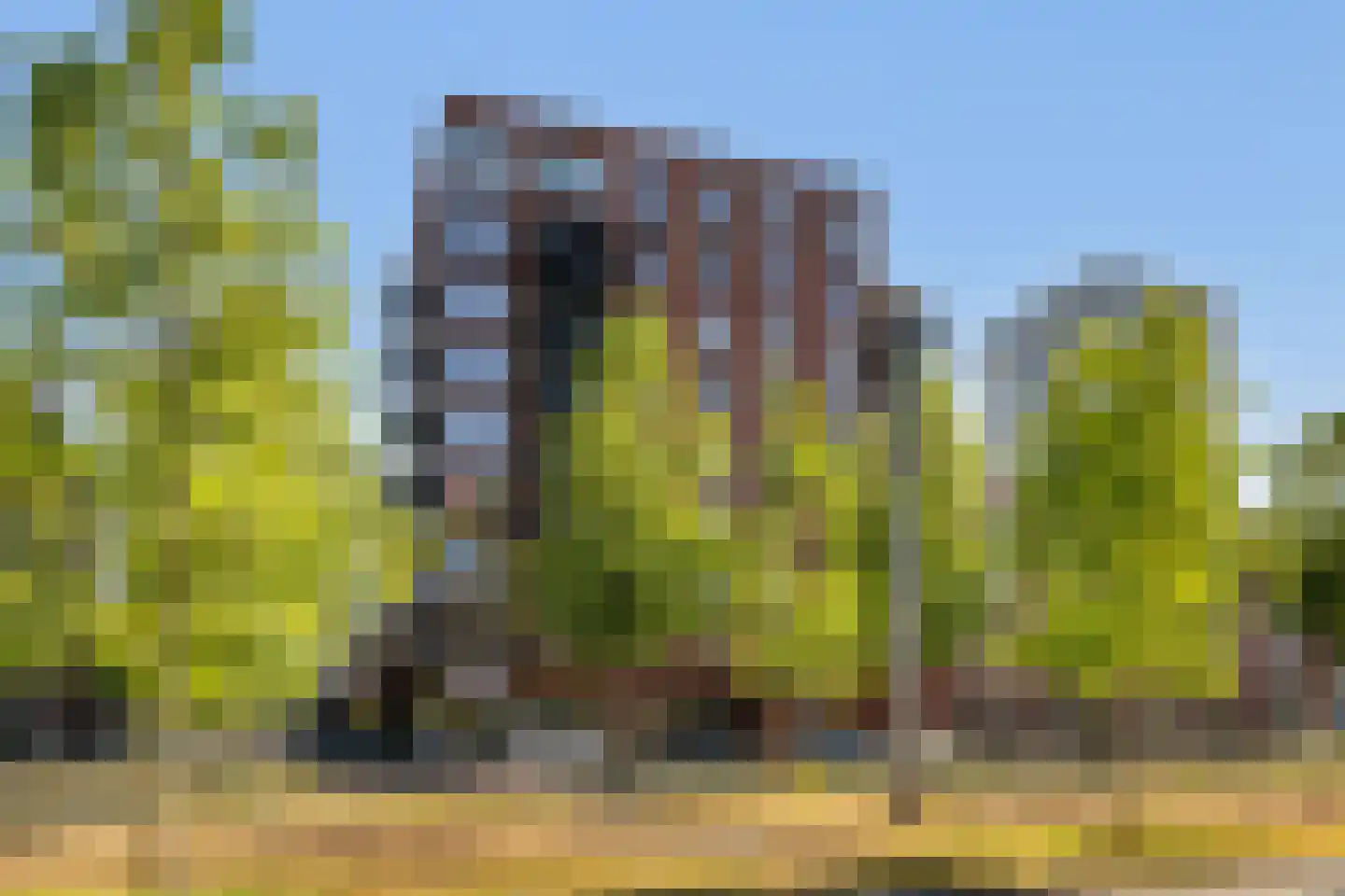 Laan op Zuid 1618 Rotterdam thumbnail 44
