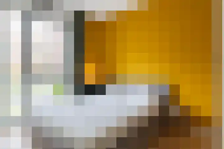 Laan op Zuid 1636 Rotterdam thumbnail 14