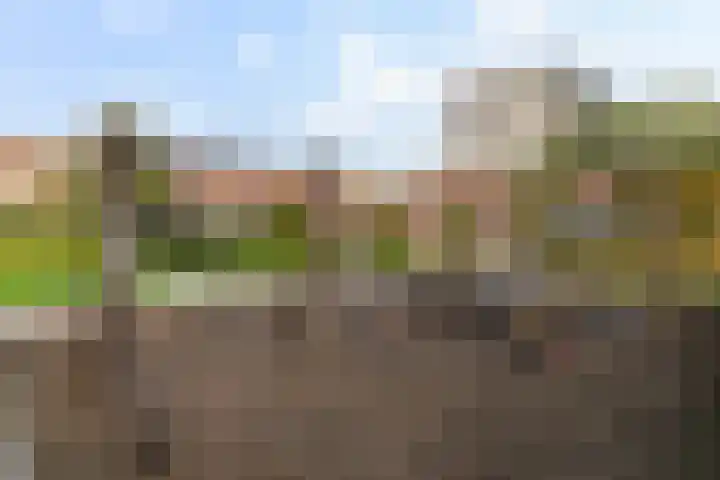 Laan op Zuid 1636 Rotterdam thumbnail 24