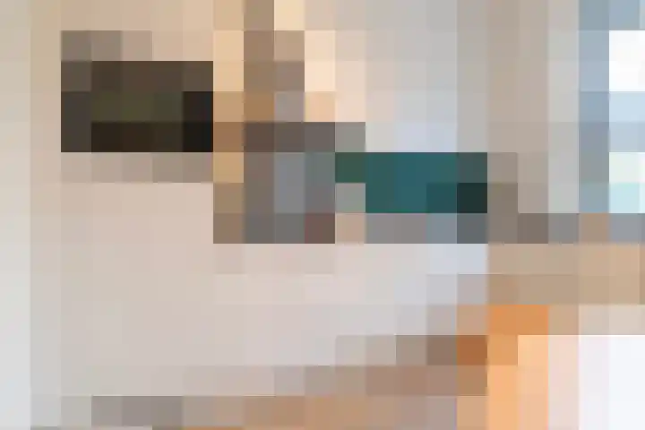 Laan op Zuid 1636 Rotterdam thumbnail 6