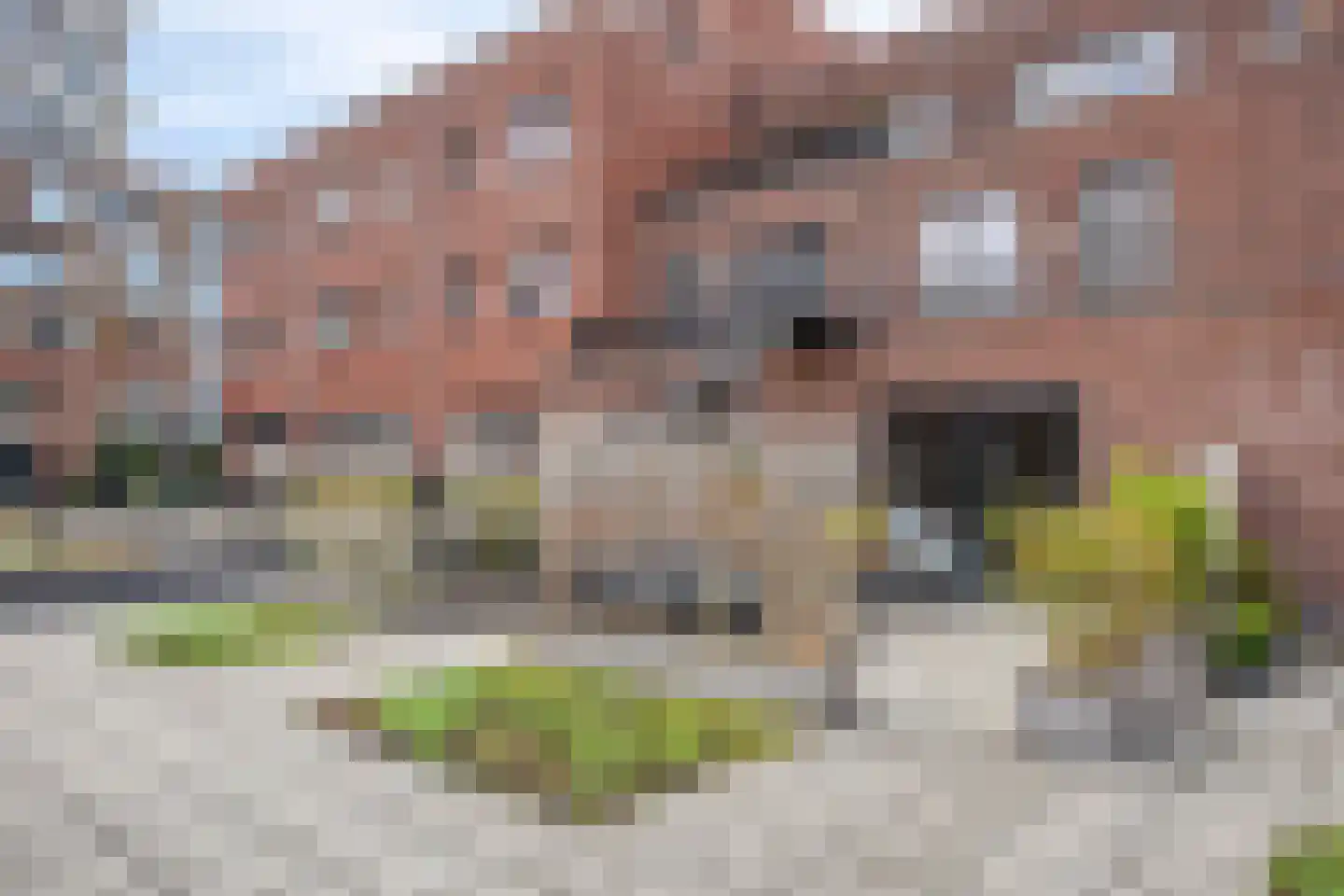 Laan op Zuid 1638 Rotterdam thumbnail 21
