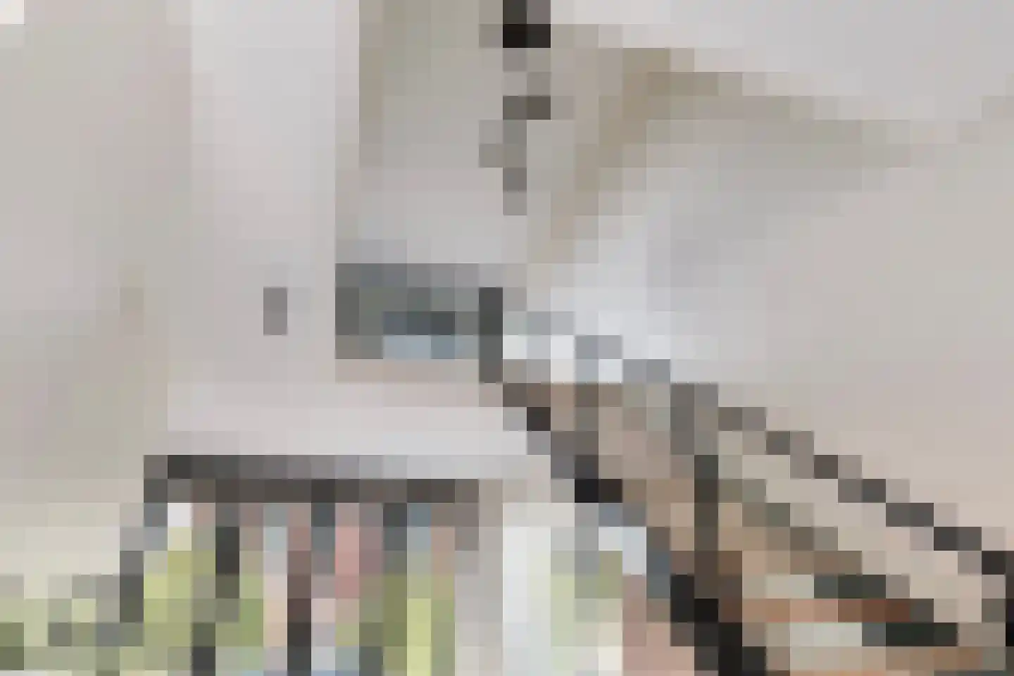 Laan op Zuid 1642 Rotterdam thumbnail 13