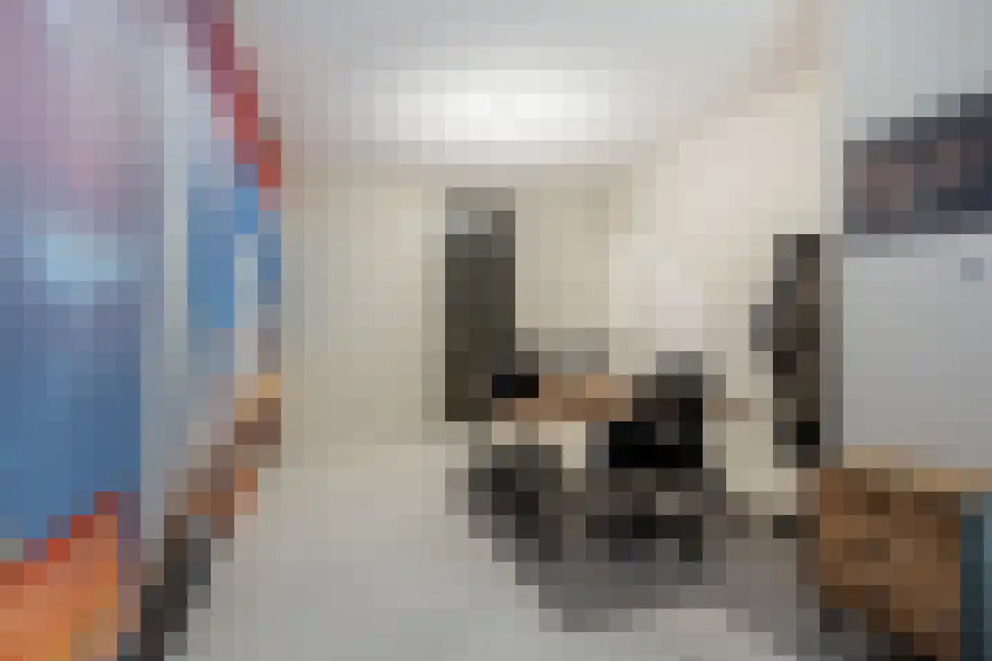 Laan op Zuid 1642 Rotterdam thumbnail 4