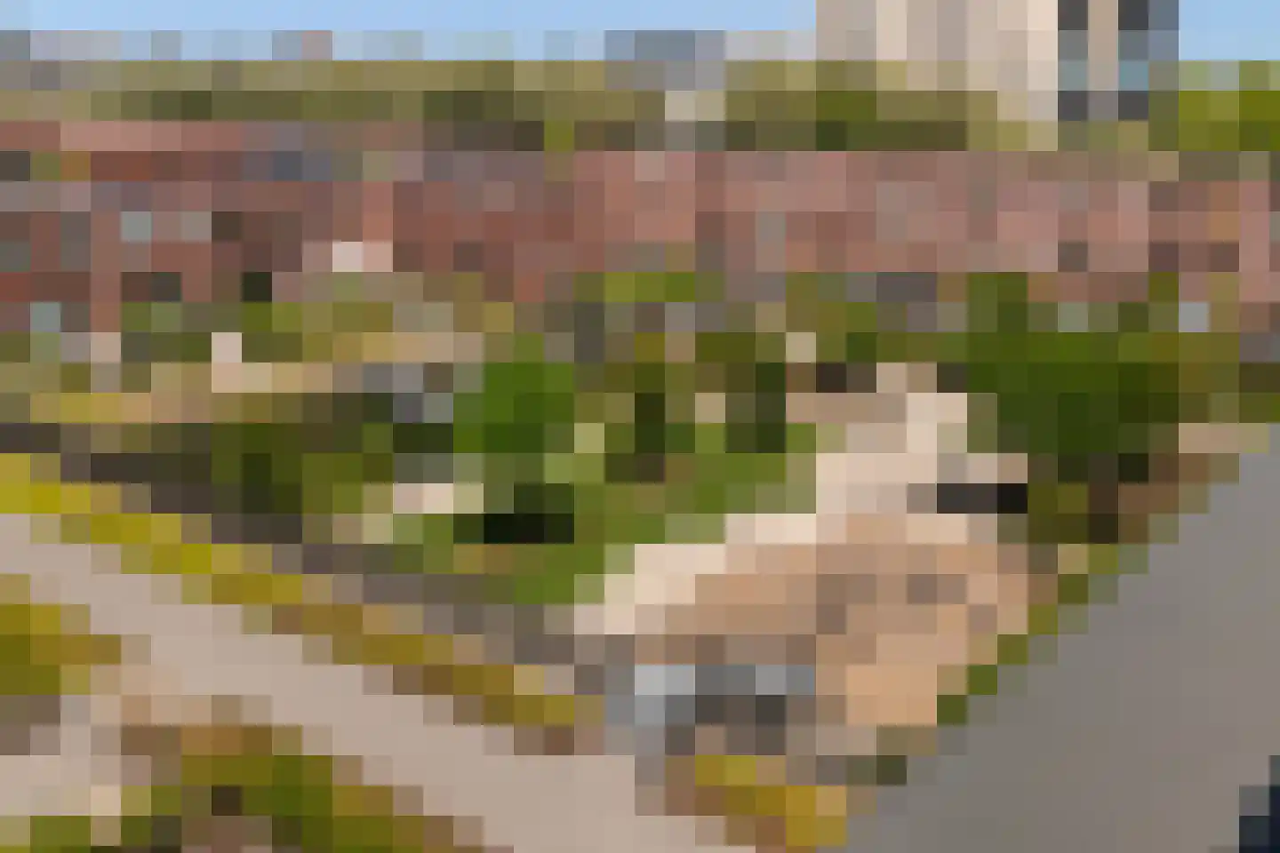 Laan op Zuid 1642 Rotterdam thumbnail 4