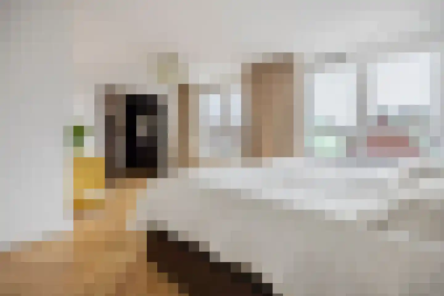 Laan op Zuid 220 Rotterdam thumbnail 14
