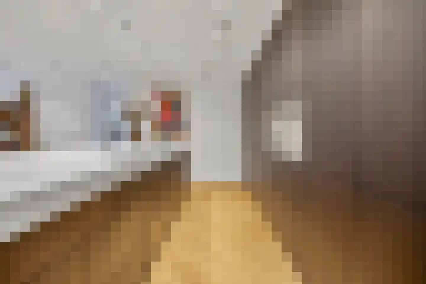 Laan op Zuid 220 Rotterdam thumbnail 9