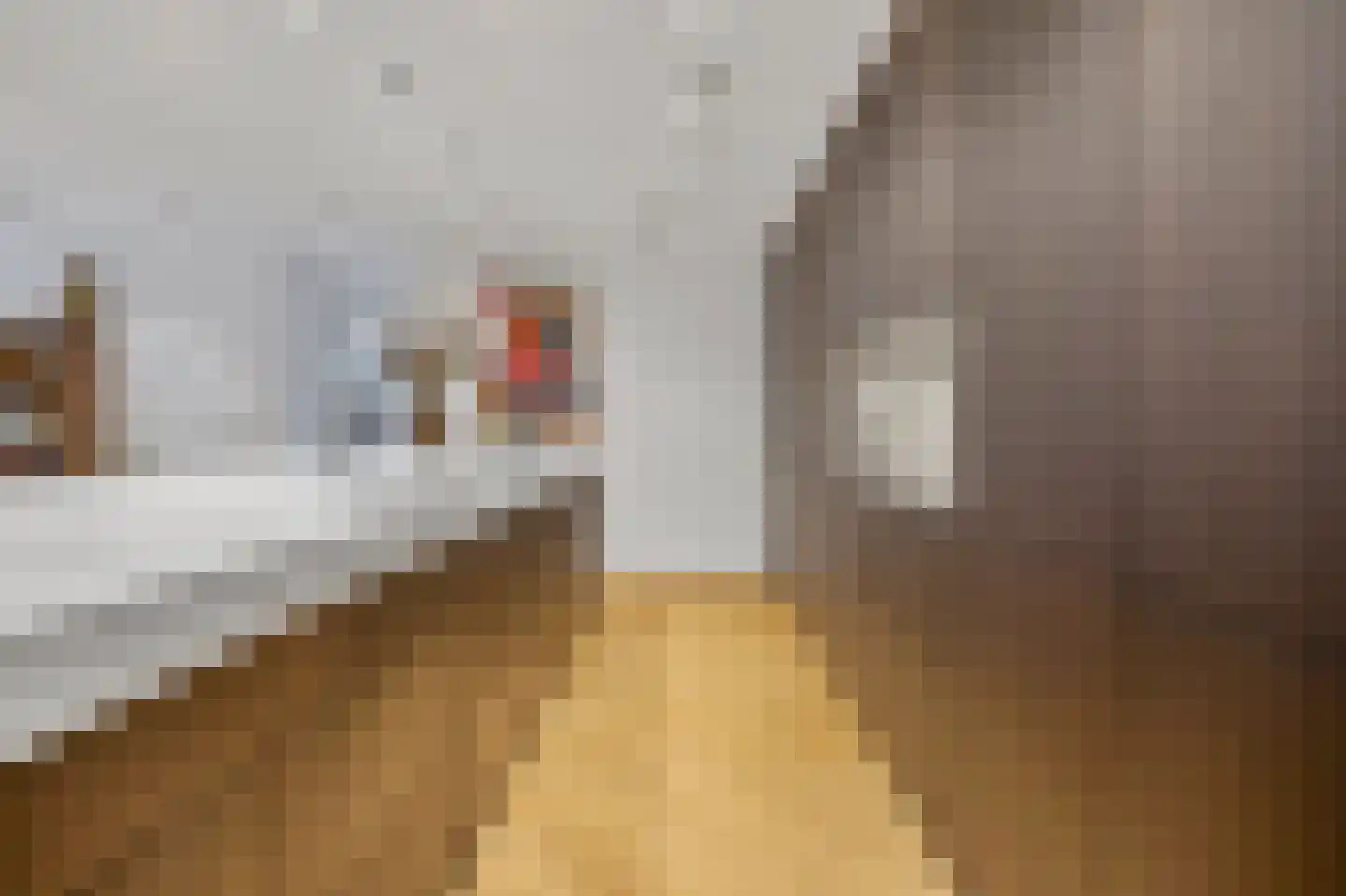 Laan op Zuid 220 Rotterdam thumbnail 9