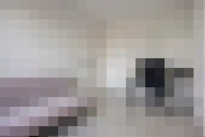 Laan op Zuid 222 Rotterdam thumbnail 19