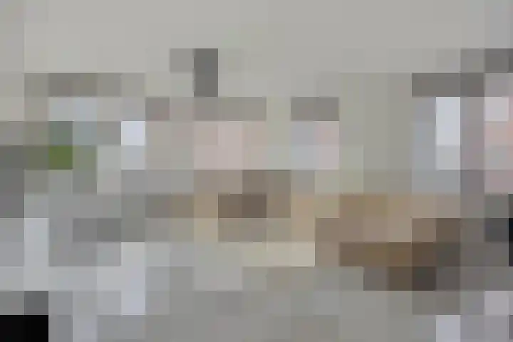 Laan op Zuid 222 Rotterdam thumbnail 4
