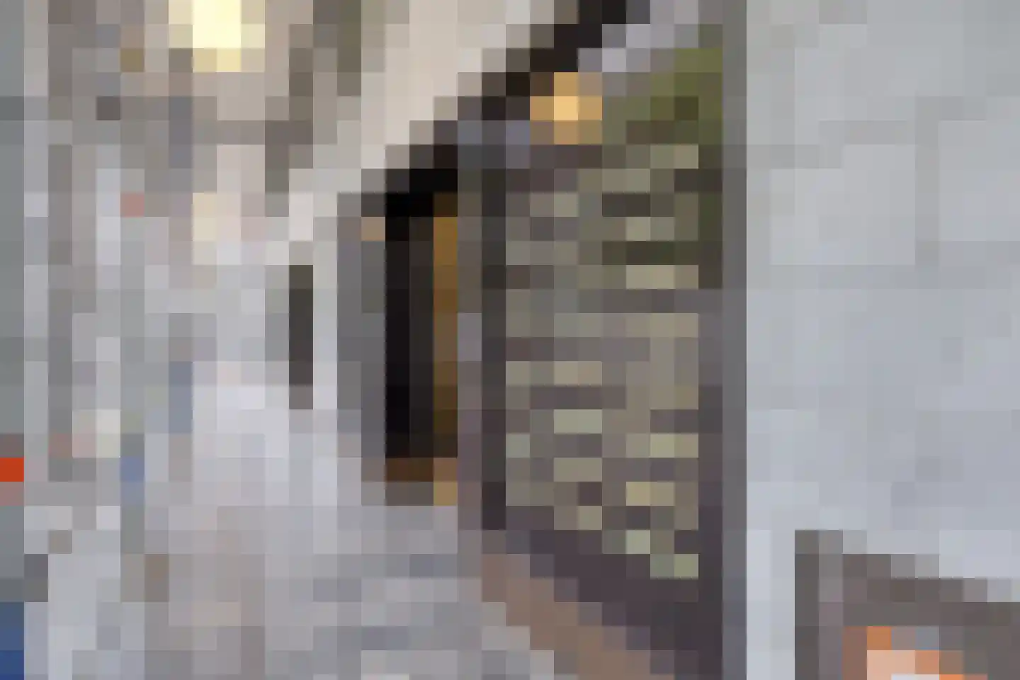 Laan op Zuid 228 Rotterdam thumbnail 30