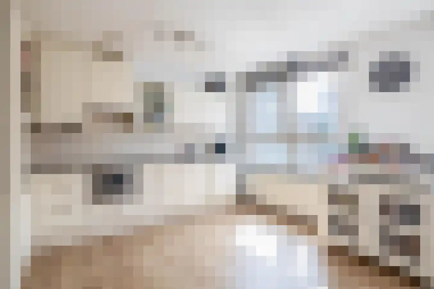 Laan op Zuid 260 Rotterdam thumbnail 16