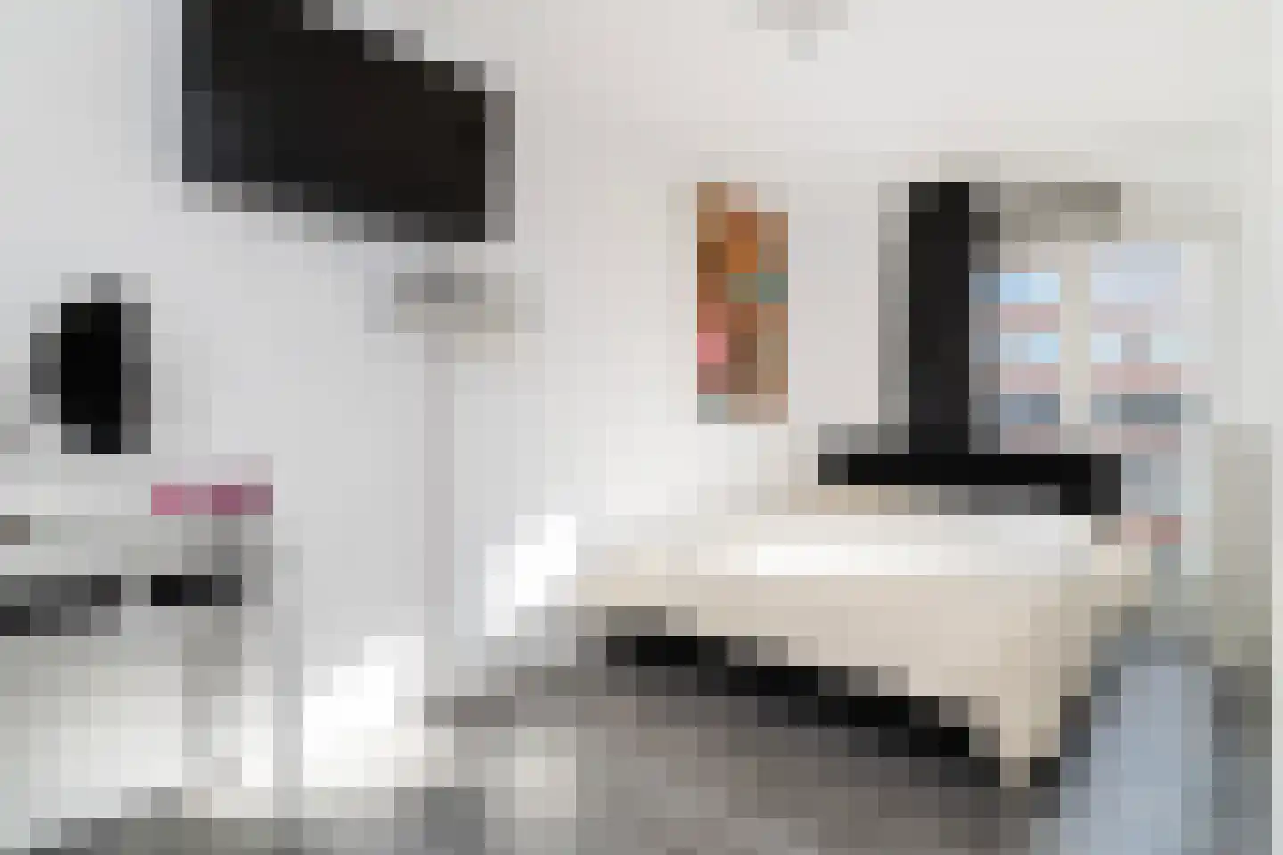 Laan op Zuid 312 Rotterdam thumbnail 12