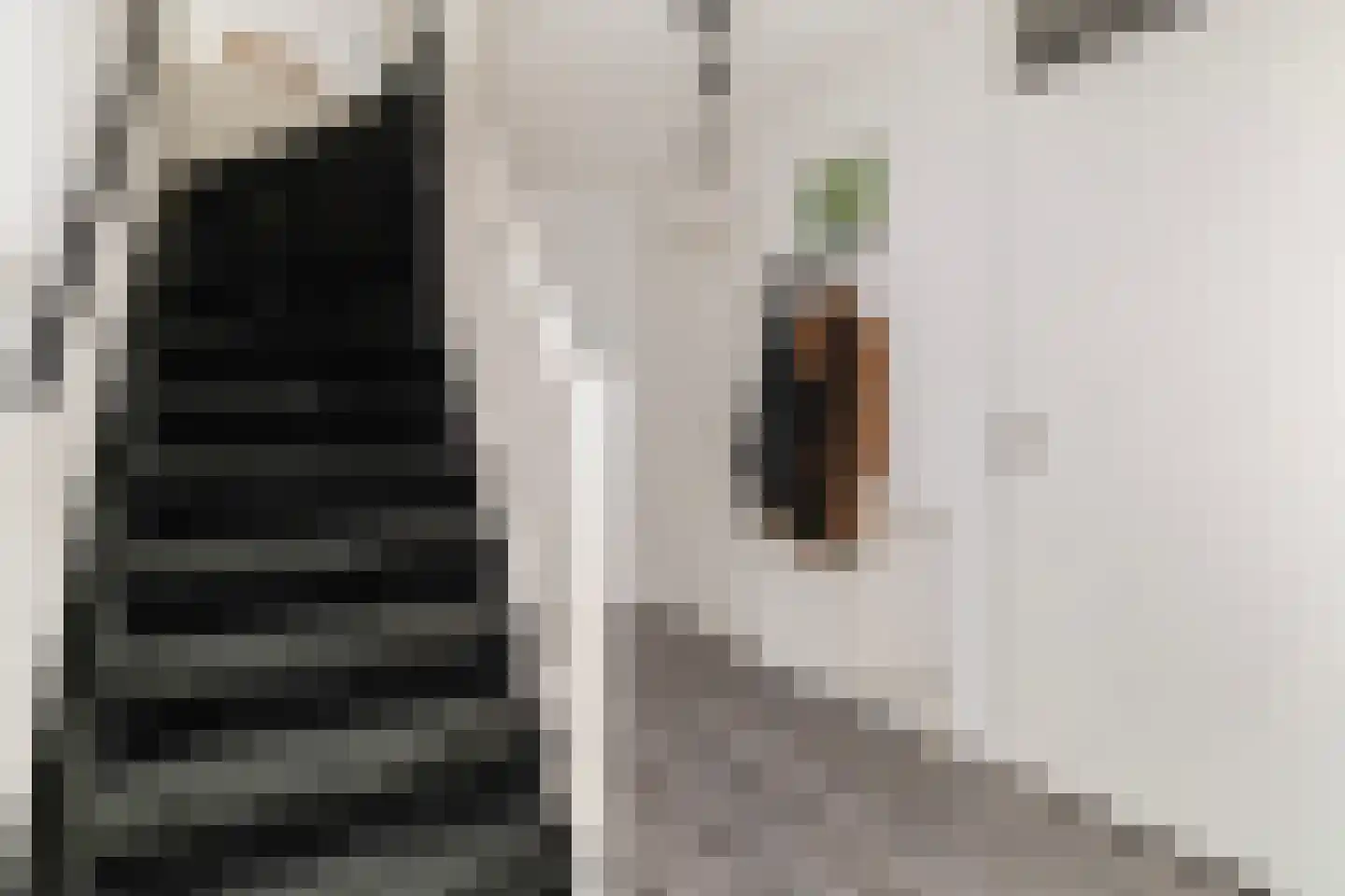 Laan op Zuid 312 Rotterdam thumbnail 17